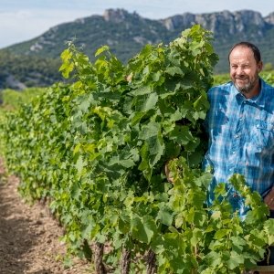 Vignobles des Trois Châteaux